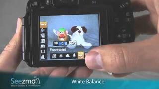 Canon G11: Indoor Guide