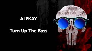 ALEKAY - Turn Up The Bass