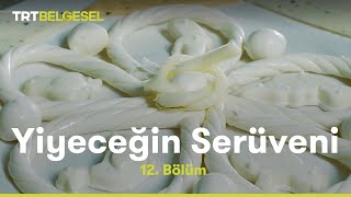 Peynir Yiyeceğin Serüveni Trt Belgesel