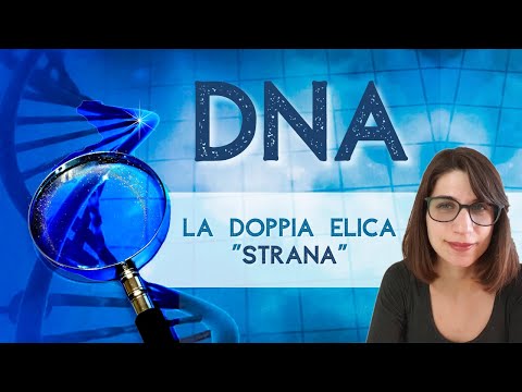Video: Cosa mostra il modello della doppia elica sul DNA?
