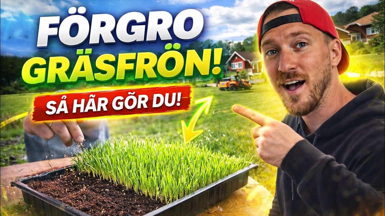 Fro Grois Förgro gräsfrö - YouTube