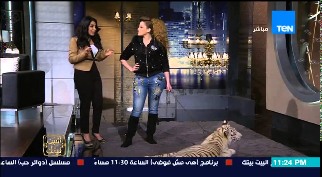 البيت بيتك - أنوسة كوتة ” أصغر مدربة أسود ونمور فى مصر 