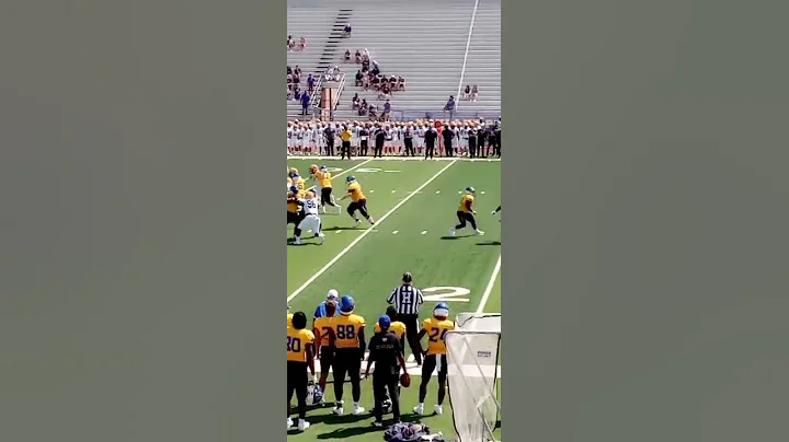 Keshawn Miller Wayland Baptist Football Highlights...