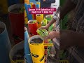 कम जगह में ज़्यादा हरियाली 1 गमले में 5 पौधे,100 गमलों में पूरे 500 पौधे! | PVC Gardening