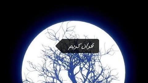 قرآن كريم #استغفر_الله #اكسبلور #اجر_لي_ولكم #لايك #يارب #الصلاه #قرآن #قران_كريم