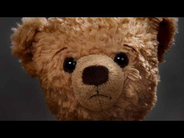 VIDEO. 9 bonnes raisons d'aimer les ours en peluche