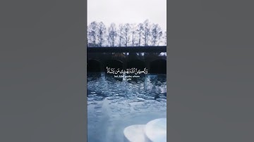 #تلاوة_خاشعة  آيات من كتاب الله ارح قلبك وسمعك #القرآن_الكريم #دويتو #راحة_نفسية #اكسبلور #تلاوات