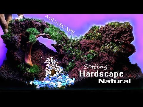 aquascape-#4-low-budget-natural-aquascaping-|-tema-hutan-|-no-co2-|-tanpa-co2-|-diorama-style