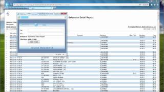 TNGLive Drawing A Extension Detailed Report.