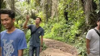 BUNGA BANGKAI BUKAN RAFFLESIA