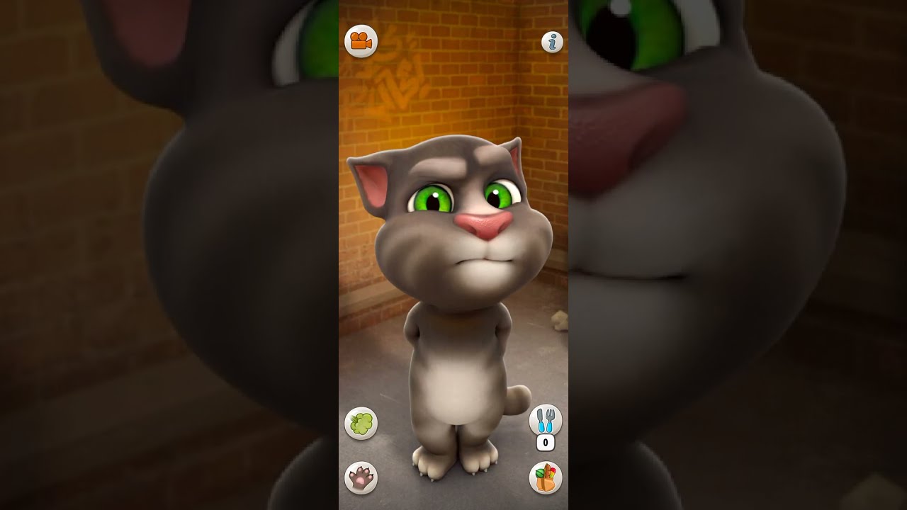 Talking Tom Cat Part 13785 Shorts