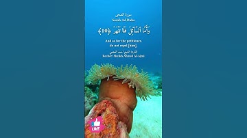فاما اليتيم فلا تقهر | سورة الضحى #دعاء_ورسالة Surah Ad-Duha