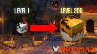 How to level a Golden Dragon Pet FAST | Hypixel Skyblock Ironman