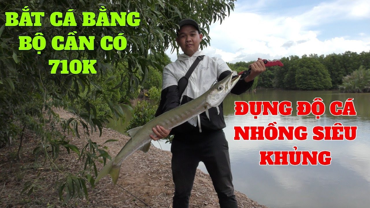 Hồi hộp, căng thẳng khi đụng độ cá nhồng khủng mà bộ cần thì chỉ có 710k