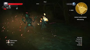 The Witcher 3 – Contract: Muire D