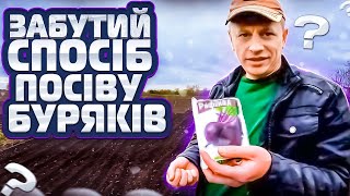 Methods of sowing beets and carrots. Creative during sowing. Vlog about a village in Ukraine