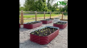 Olle Raised Beds: Crafting Quality for Your Bountiful Backyard Garden! #gardening #garden