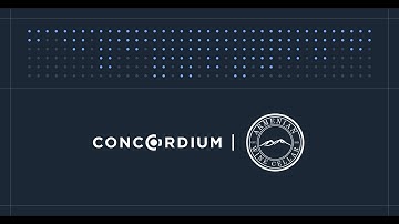 Concordium Pay the future of E-commerce: Verify & Pay with Concordium browser wallet