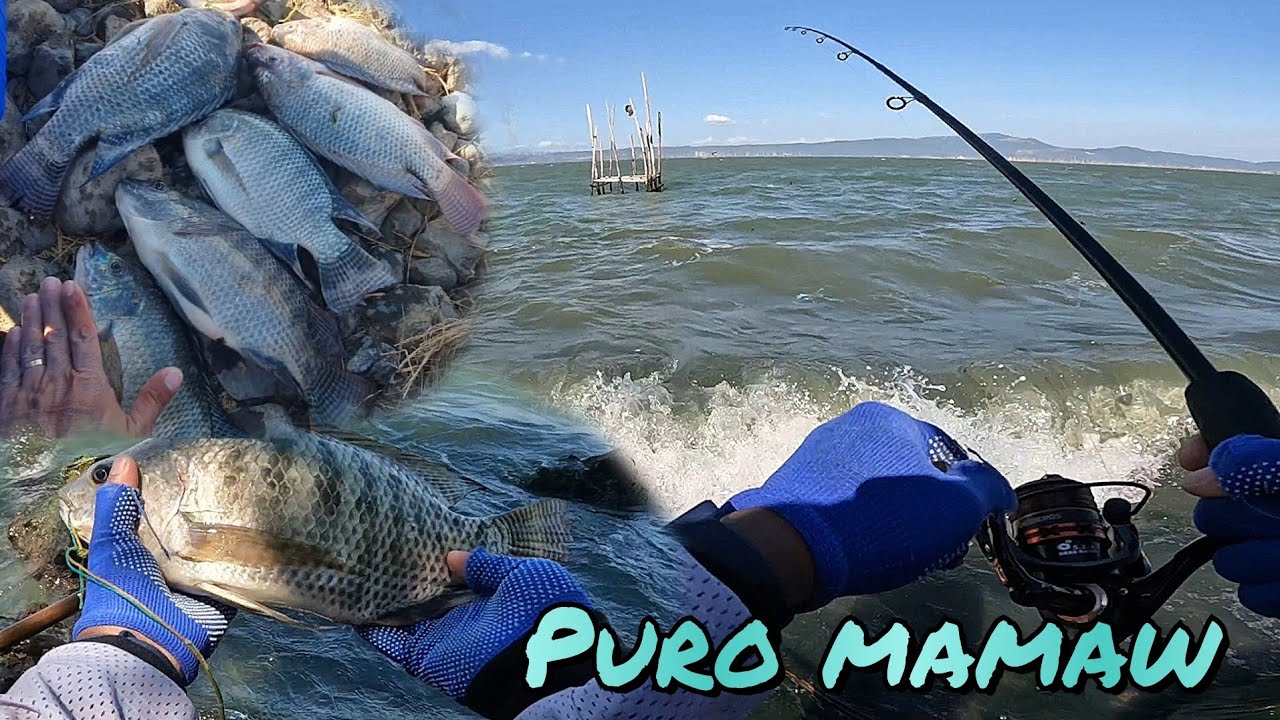 UNANG DAYO SA BARANGAY NAVOTAS NG TALIM ISLAND