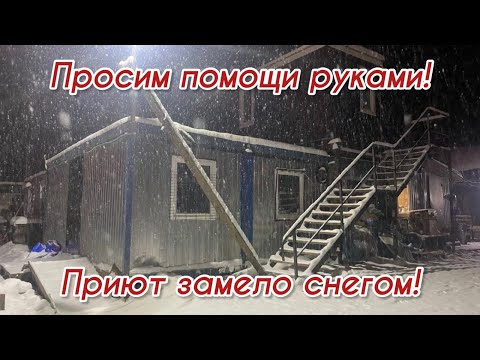 Просим помощи руками! Приют замело снегом! Приют для животных
