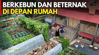 Download Lagu UBAH HALAMAN RUMAH JADI KEBUN SWASEMBADA PANGAN KELUARGA MANDIRI ALA BU UTIQ | CERITA USAHA MP3 Download Lagu UBAH HALAMAN RUMAH JADI KEBUN SWASEMBADA PANGAN KELUARGA MANDIRI ALA BU UTIQ | CERITA USAHA MP3