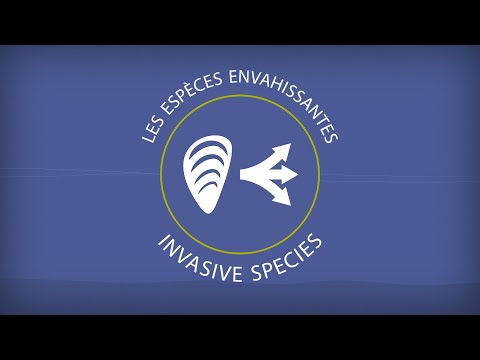 Vidéo: Comment les espèces envahissantes affectent-elles la biodiversité ?