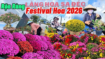 Làng Hoa Sa Đéc 2026 rộn ràng chuẩn bị hàng trăm loại hoa kiểng chào đón Festival hoa phục vụ Tết 
