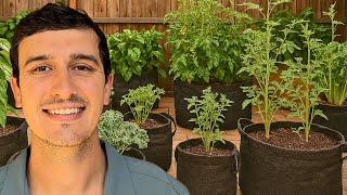 Why Container Plants Need More Fertilizer Than In-Ground Ones?