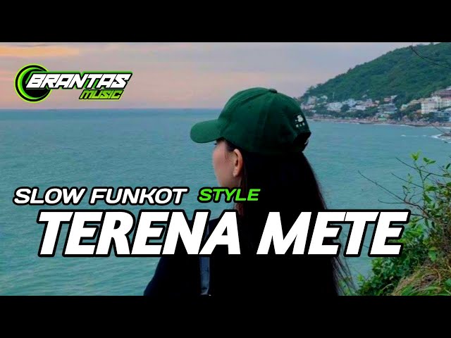 DJ TERENA METE SLOW FULL  BASS class=