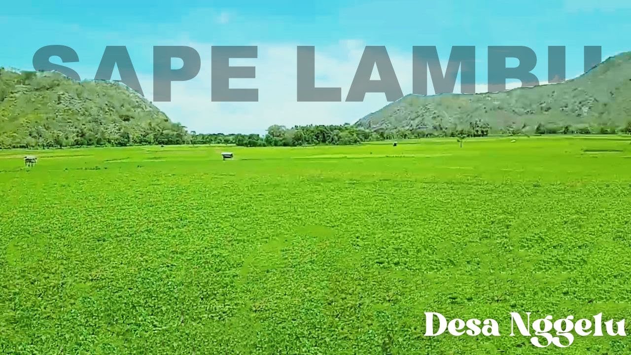 PERJALANAN MENUJU SAPE LAMBU DESA NGGELU KAB. BIMA NTB