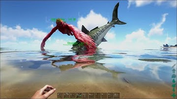 ARK: Survival Evolved Taming Megalodon "Chopzila" First Shark Tame
