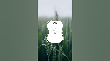 اروع تلاوة القرآن الكريم بصوت القارئ عبدالله الموسی سورة الأعراف آجمل حالات واتس اب قرانيه