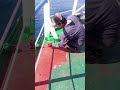 Green paint on deck