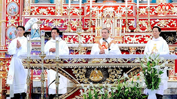 Bài Giảng Cha Giáo Giuse Vũ Ngọc Tứ Lễ Mẹ Thăm Viếng