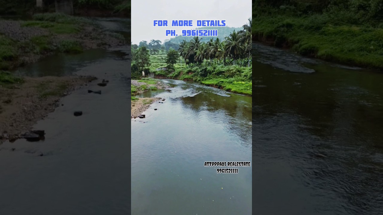 1.16 acre land for sale in attappadi #nature #travel #tourism #attappadi #attapadihills #attappady