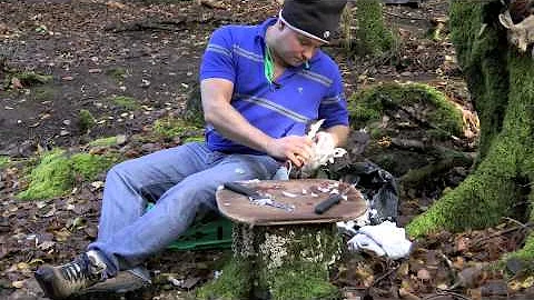 How To Pluck & Portion Pigeon - Cooking With Treyvaud