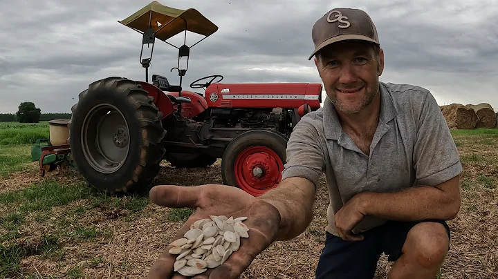 Growing Pumpkins from Seed