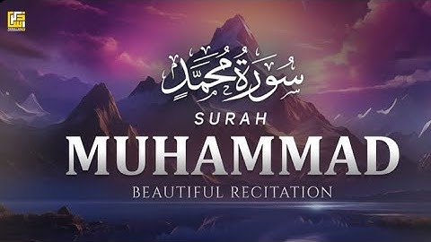 تلاوات القرأن الكريم سورة محمد بصوت شيخ رعد الكردي 