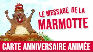 Le message de la marmotte - joyeux anniversaire, carte anniversaire animée