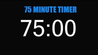 75 Minute Timer No Sound