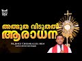 അദ്‌ഭുതകരമായ ദൈവസാന്നിധ്യം: ആരാധന POWERFUL DIVINE ADORATION Fr. Jince Cheenkallel HGN