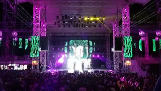 ⁣Parazitii - Te facem sa sari | Live Mega Discoteca Tineretului 24.08.2019