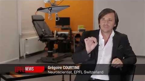 Paralysed rats stimulated to walk