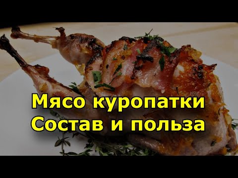 Мясо куропатки состав и польза. Диетическое мясо