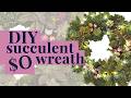 DIY Foraged Succulent Wreath — Stunning Holiday Decor on a Budget!