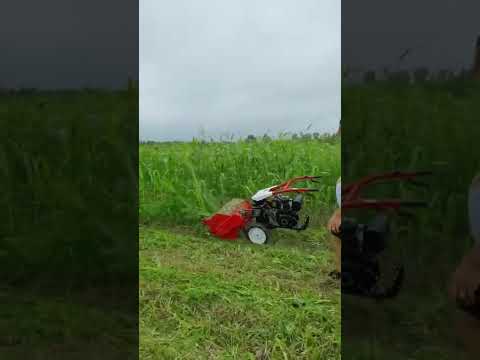 Walking behind tractor