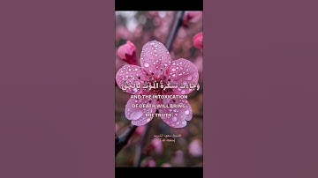 #تلاوة #اكسبلور #المصحف #quran #قرآن #راحة_نفسية #الشيخ #سعود_الشريم حفظه الله