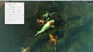 ASMR Live Desktop Demo: Sharks 3D and Koi Pond 3D with water sounds screenshot 1