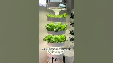 ​​No worries—Made in China, built to last!​​" #hydroponicfarm #hydroponics #nft