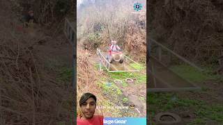 Survival Skills Smart And Useful Ideas With Single Mom ideas smart creative